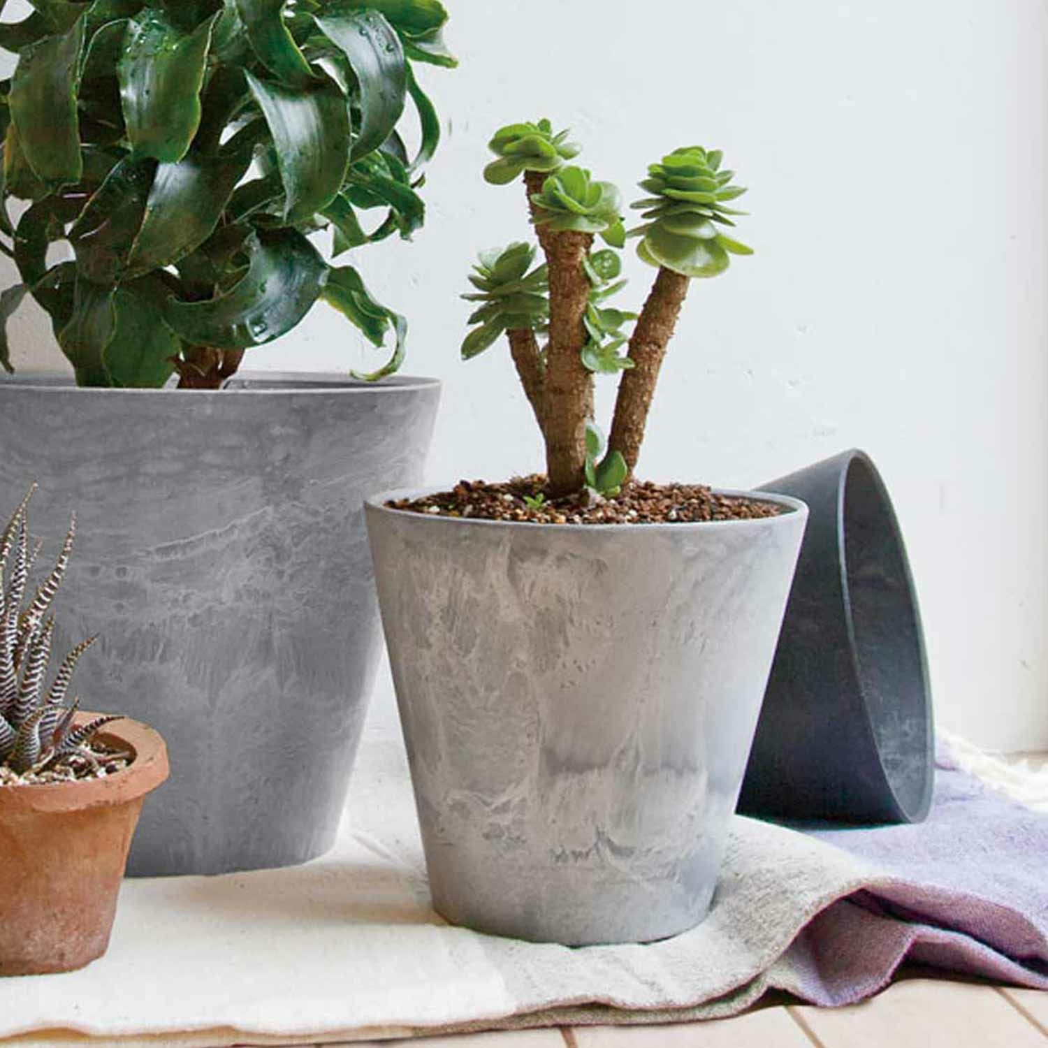 000000008131-13.jpg?size=xxl&w