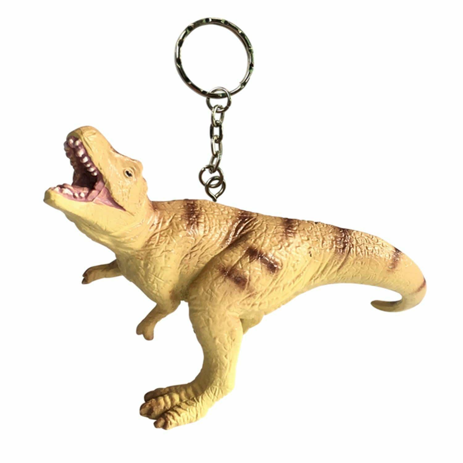 Science and Nature サイエンス アンド ネイチャー | サイエンス