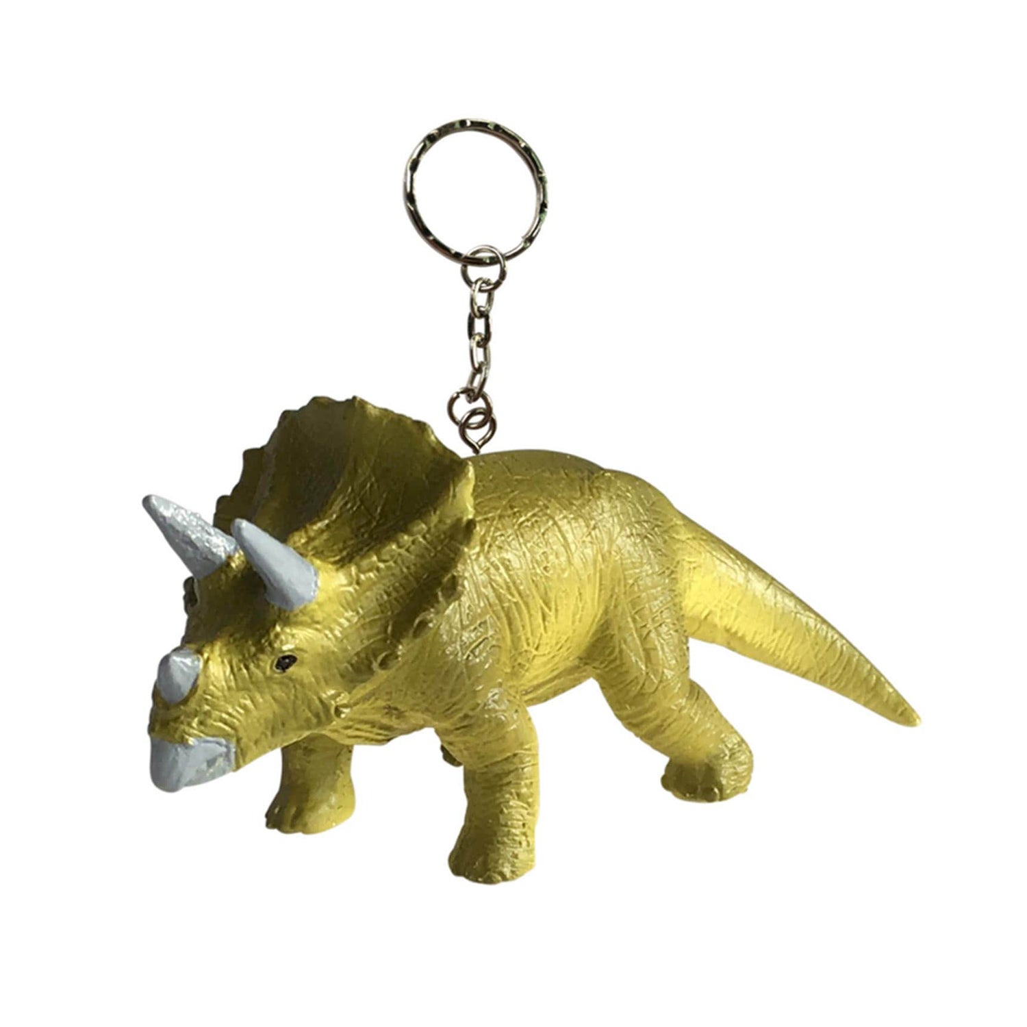 Science and Nature サイエンス アンド ネイチャー | サイエンス