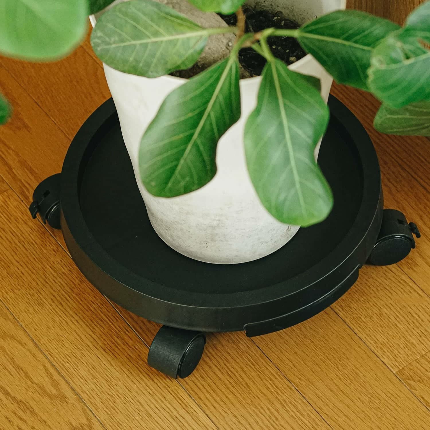 amabro アマブロ | PLANTS TRAY プランツトレイ | HIGHTIDE