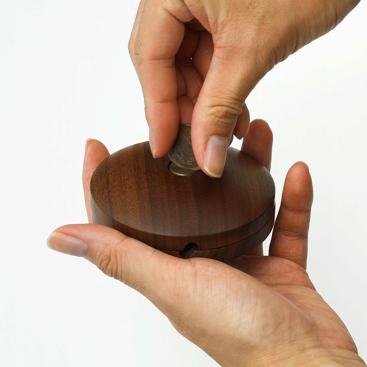 APROZ アプロス | WOOD CORD REEL | HIGHTIDE（ハイタイド）公式サイト