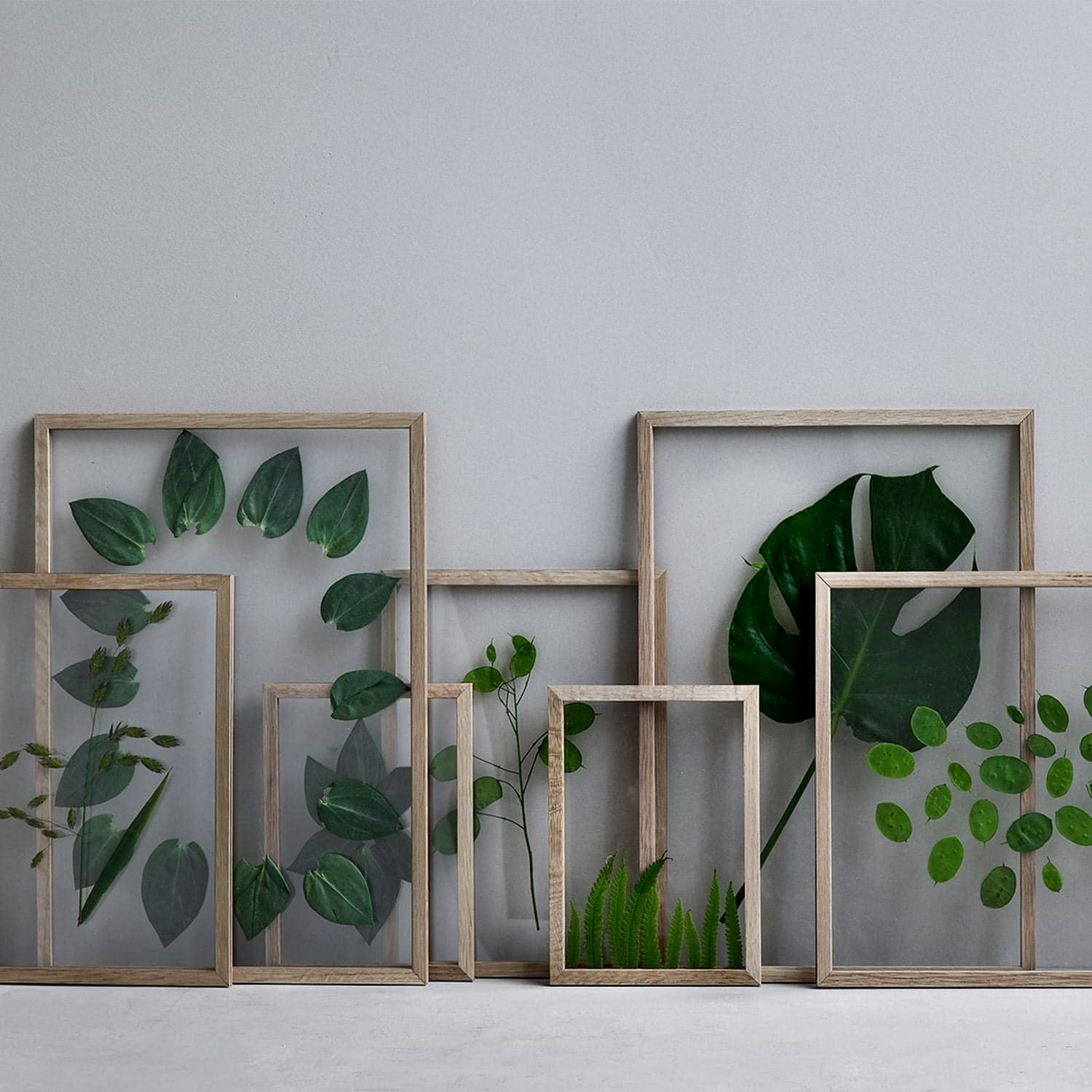 MOEBE ムーベ | Frame A5 フレーム オーク | HIGHTIDE（ハイタイド