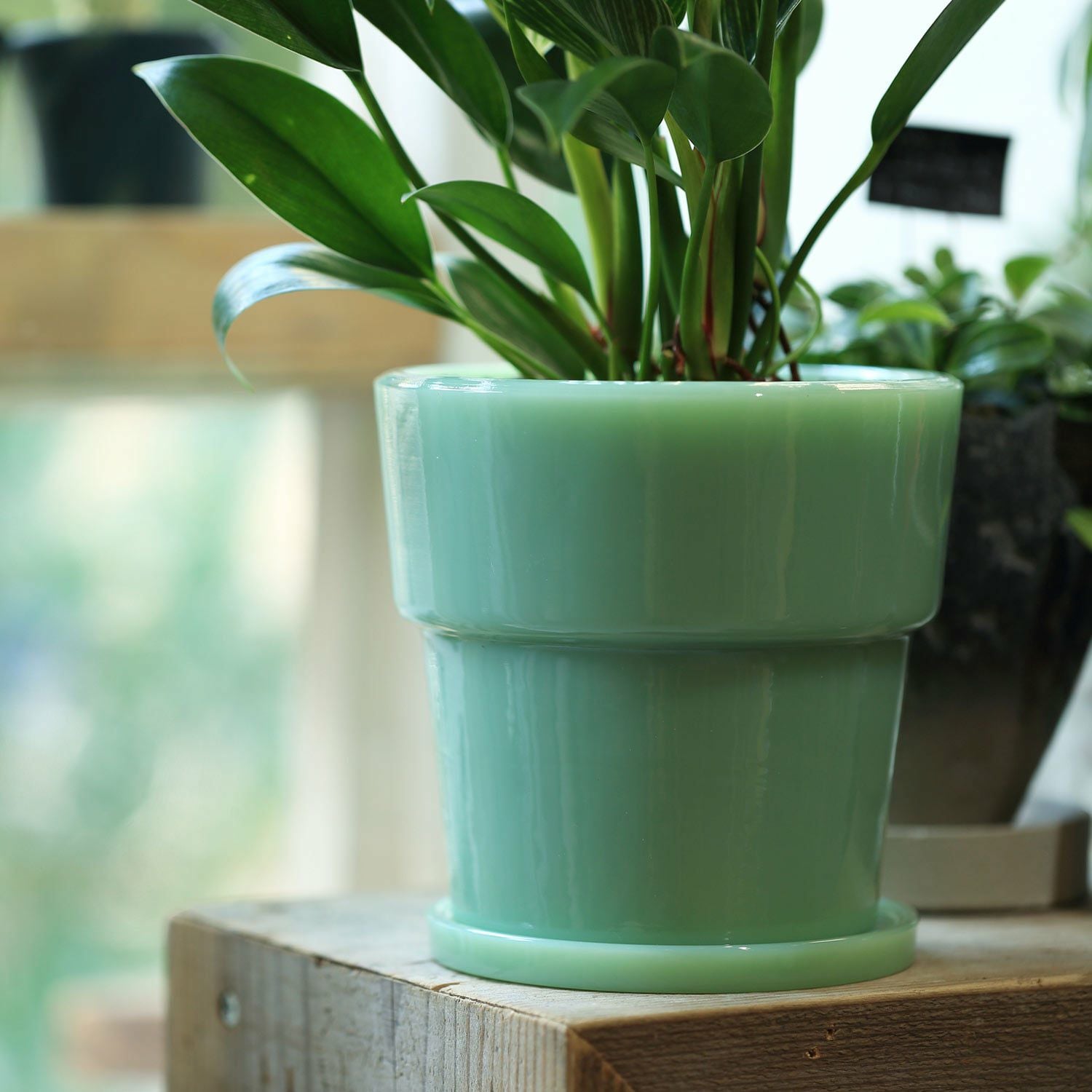 ideaco イデアコ | Milk Glass Planter Pot4 ミルクガラスプランター