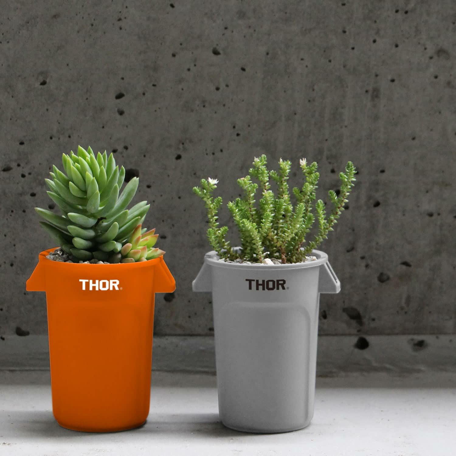 000000010820-11.jpg?size=xxl&w