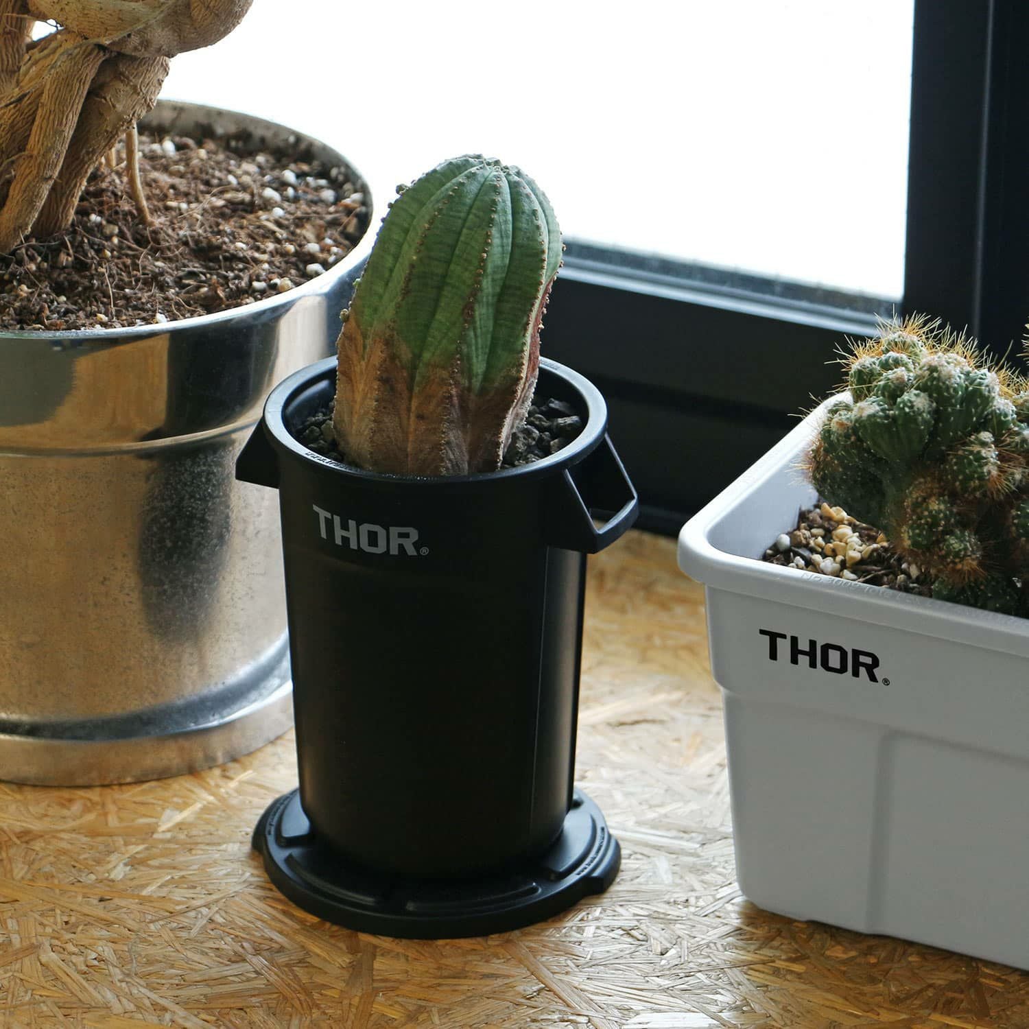 THOR ソー | Round Container Mini DC ラウンドコンテナー ミニ