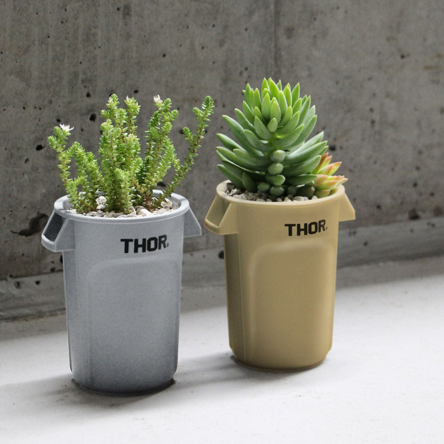 THOR ソー | Round Container Mini DC ラウンドコンテナー ミニ