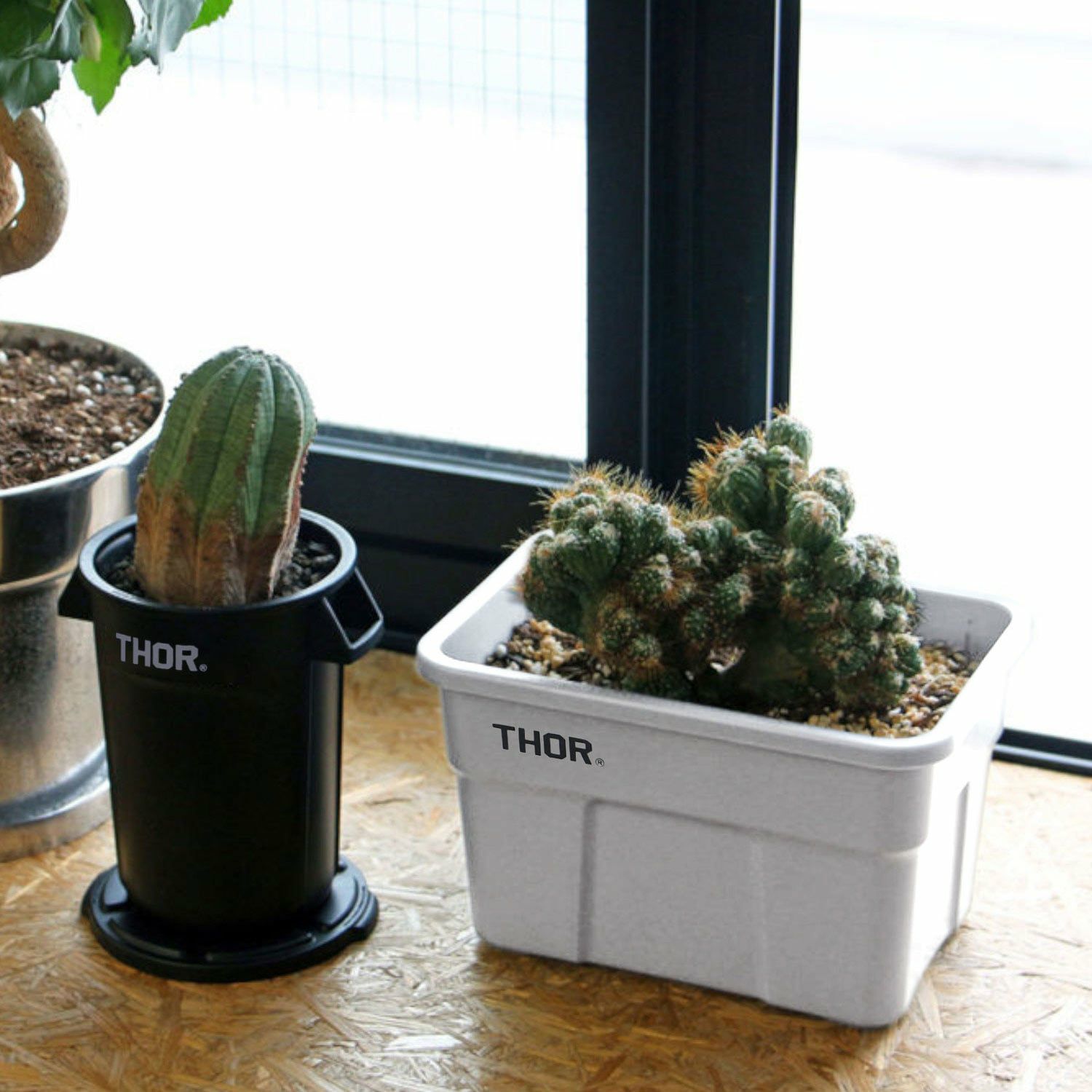 THOR ソー | Mini Totes With Lid DC | HIGHTIDE（ハイタイド）公式サイト