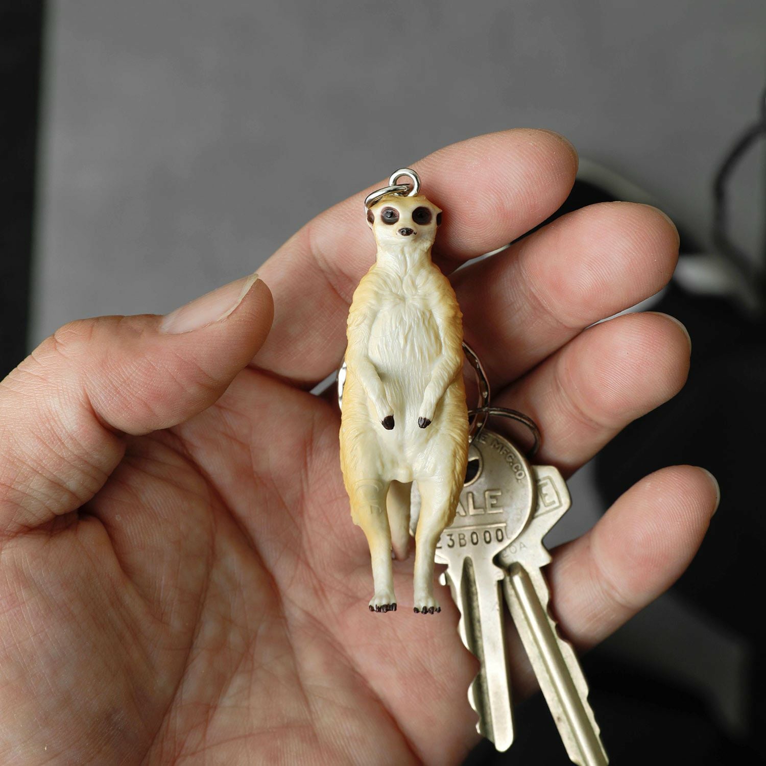 000000010850-14.jpg?size=xxl&w