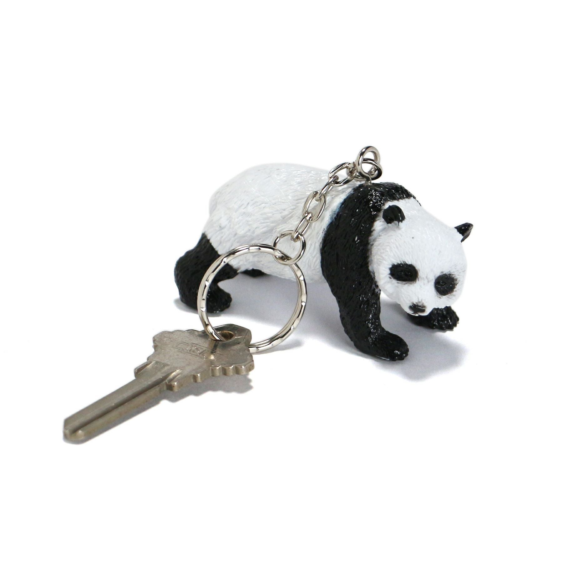 Science and Nature | Animal Keyring アニマルキーリング | HIGHTIDE