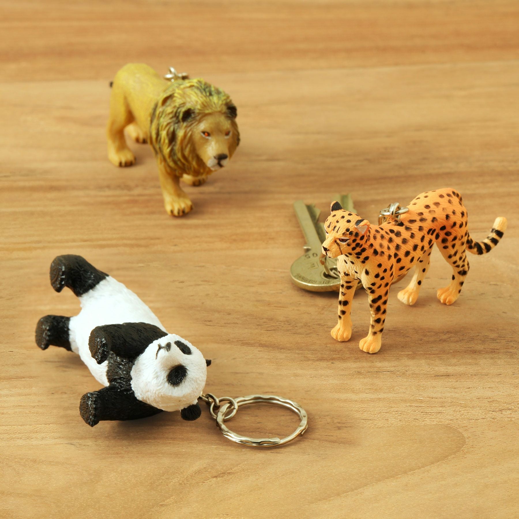 Science and Nature | Animal Keyring アニマルキーリング | HIGHTIDE