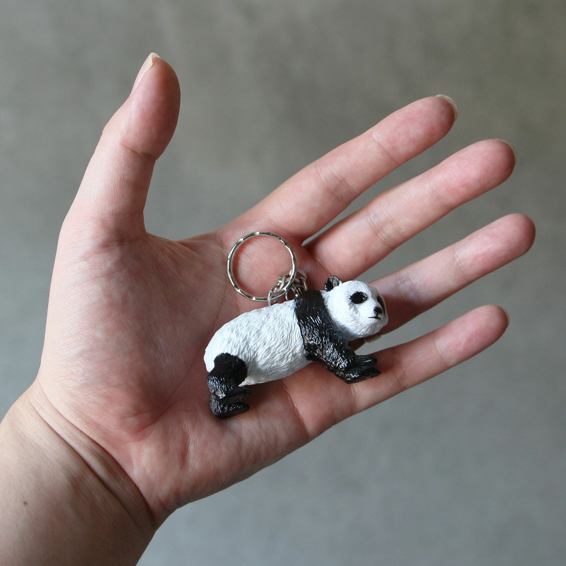Science and Nature | Animal Keyring アニマルキーリング | HIGHTIDE