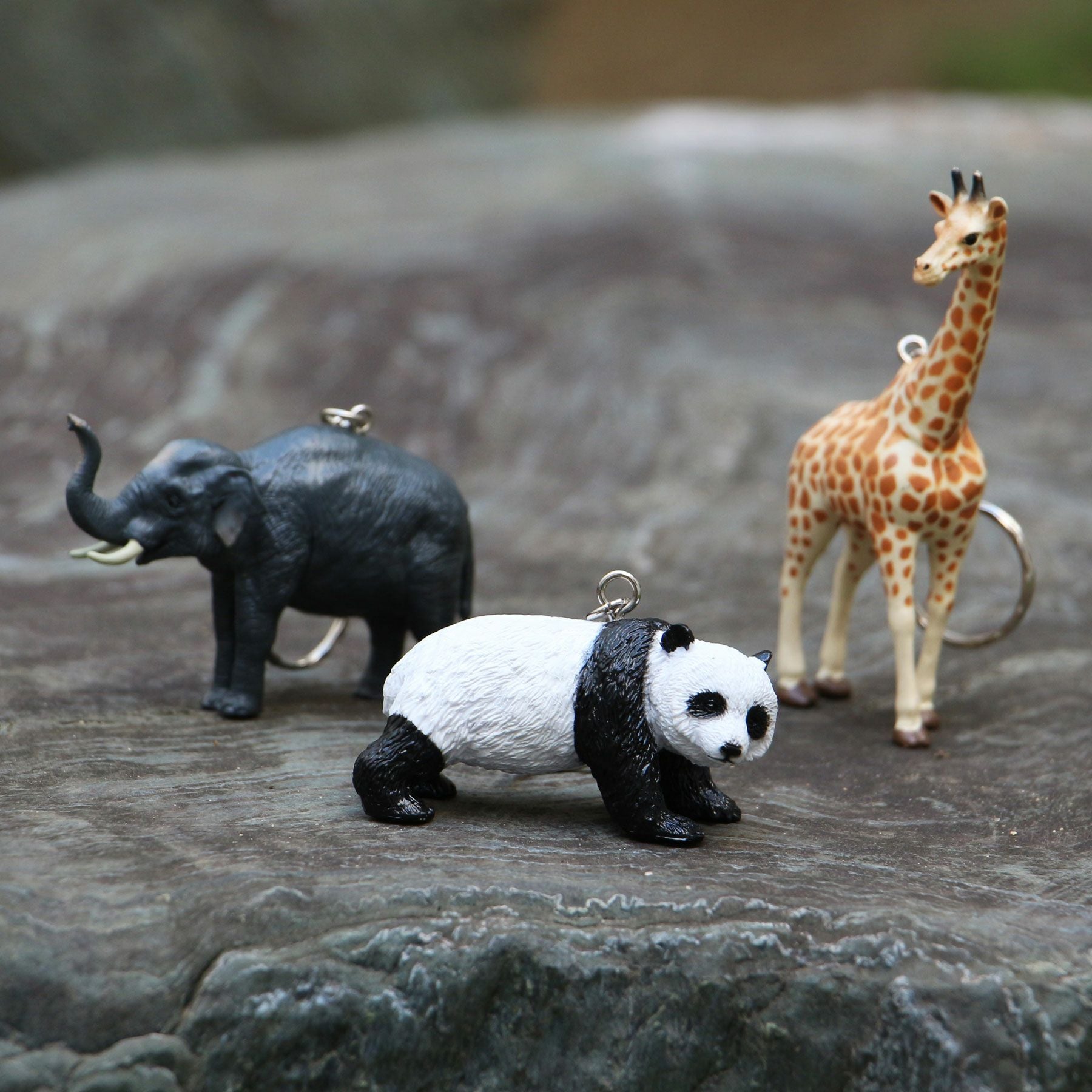 Science and Nature | Animal Keyring アニマルキーリング | HIGHTIDE