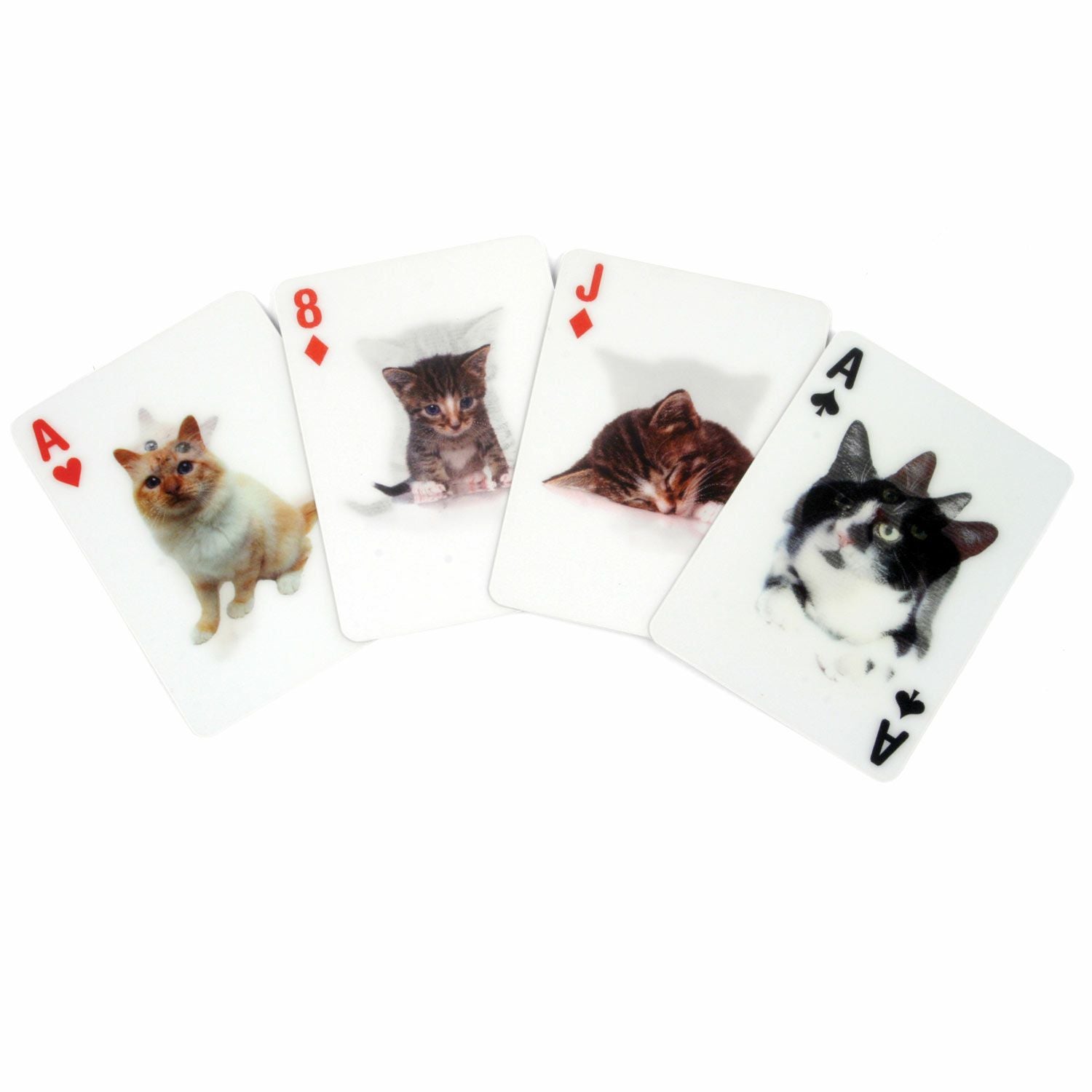 KIKKERLAND キッカーランド | 3D Cards | HIGHTIDE（ハイタイド）公式