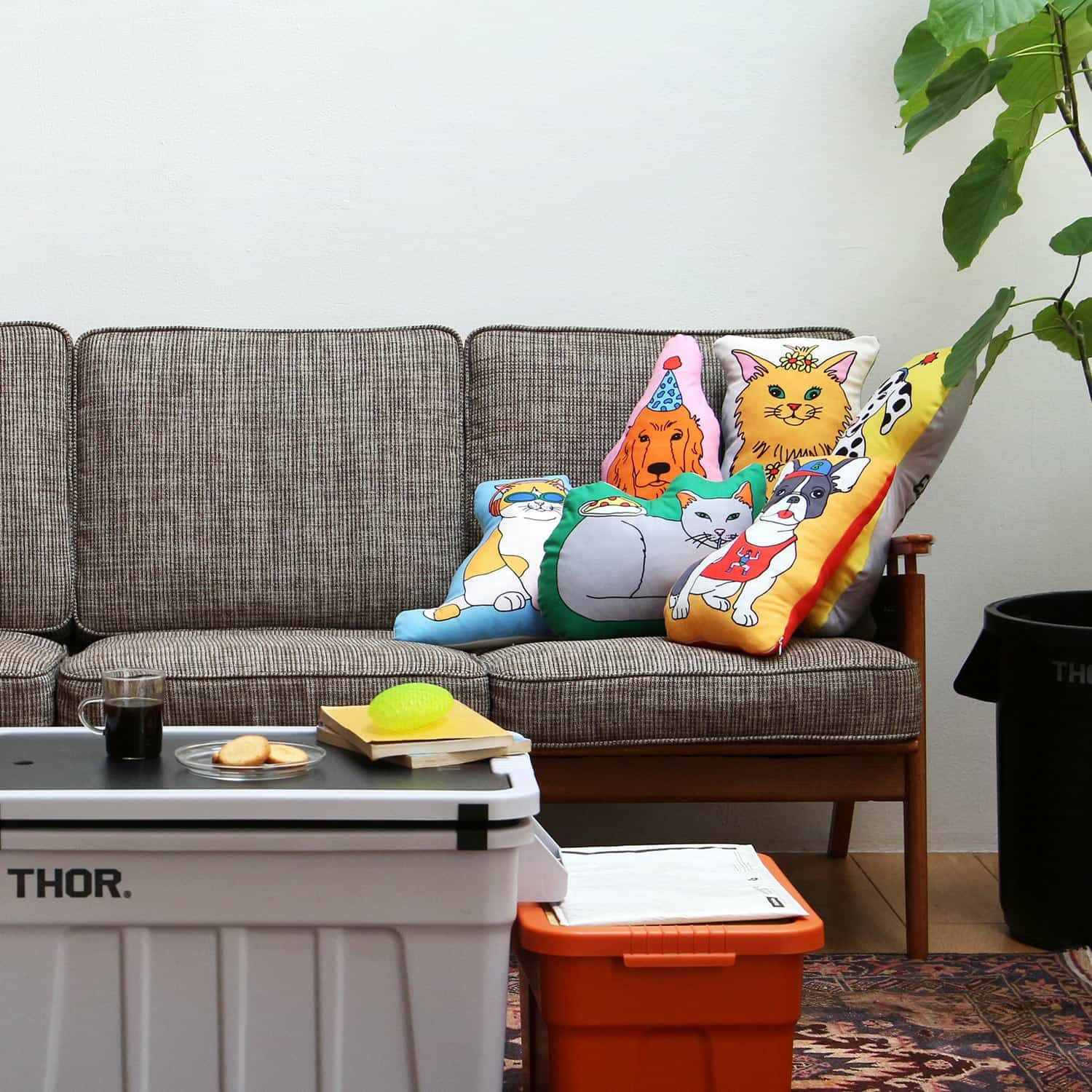 MIDORI KOMATSU Plays with DETAIL INC | The Enjoy C&D Club Cushion