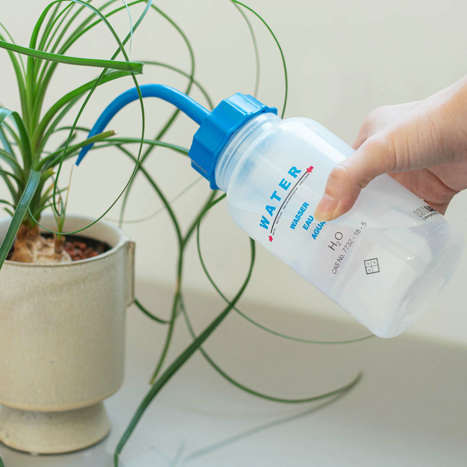 000000012011-21.jpg?size=xxl&w