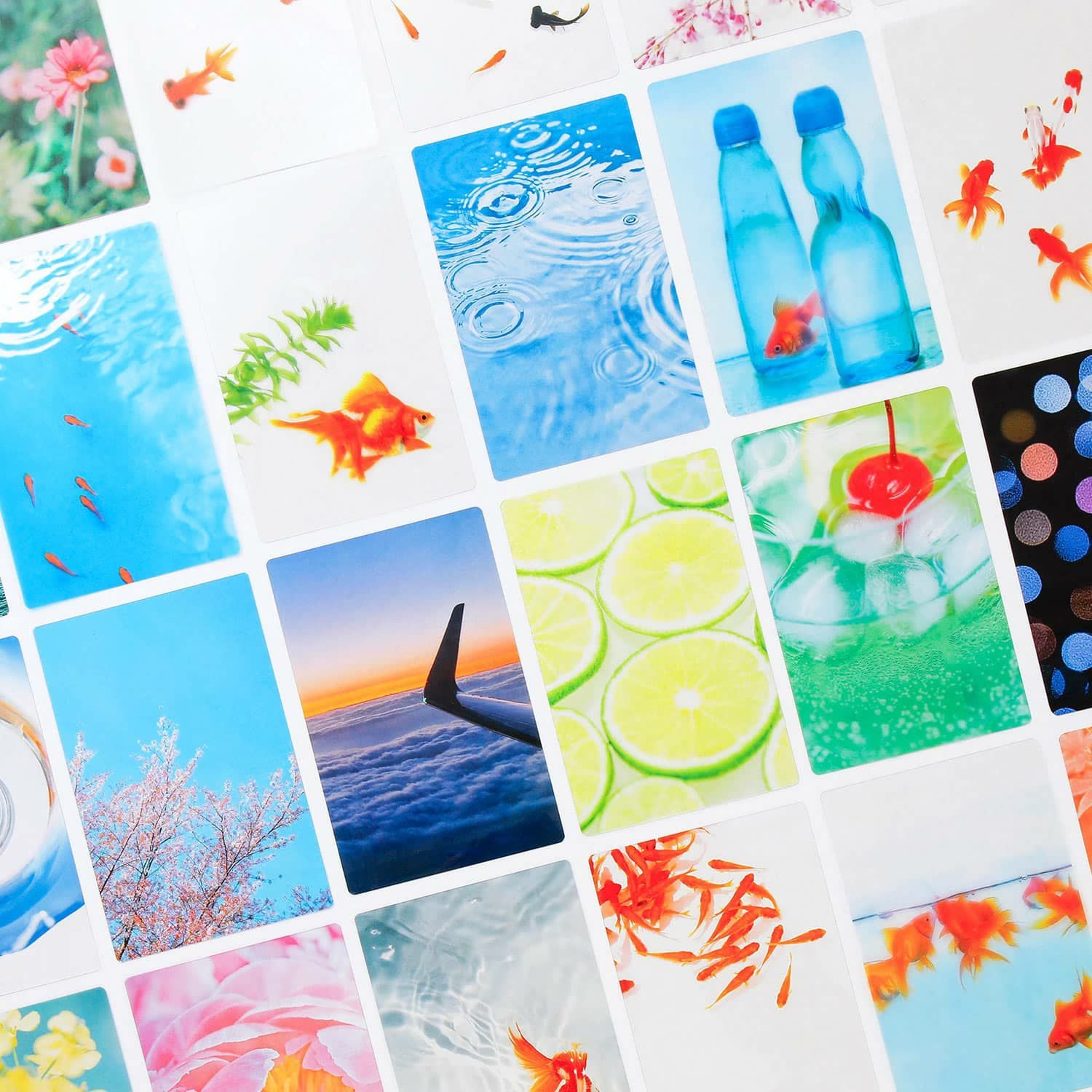 000000012256-01.jpg?size=xxl&w