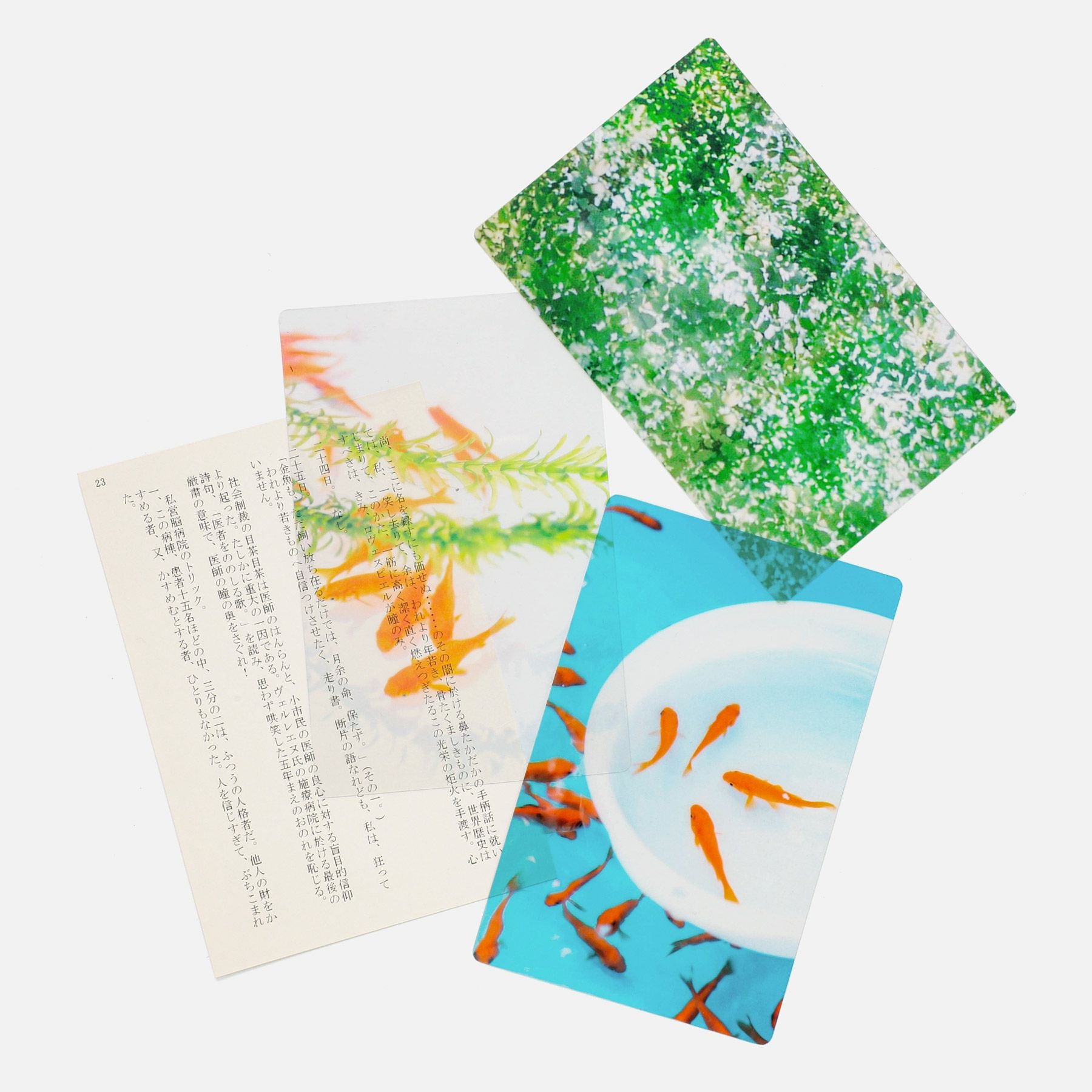 Photo & focus 透明写真栞 | HIGHTIDE（ハイタイド）公式サイト