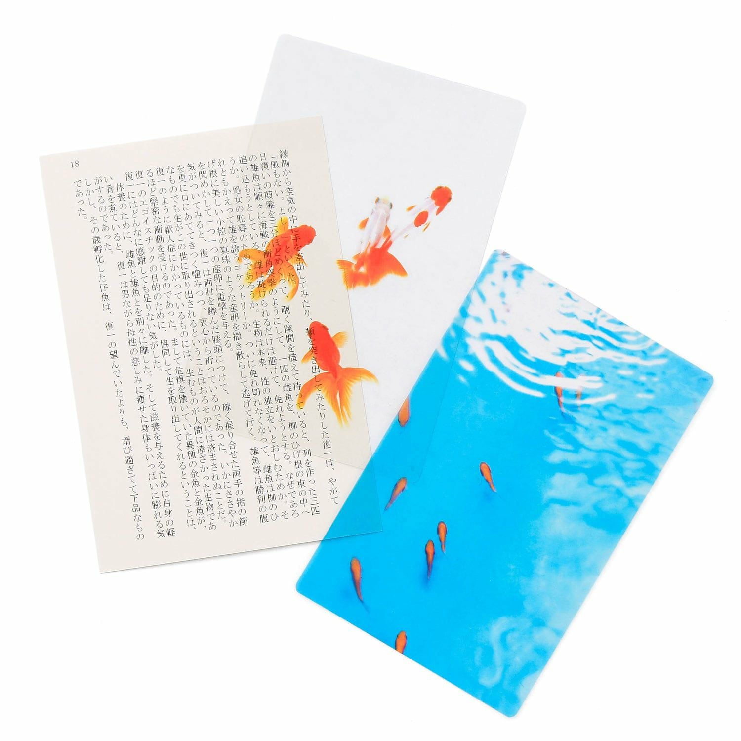 栞 000000012256-28.jpg?size=l&w=