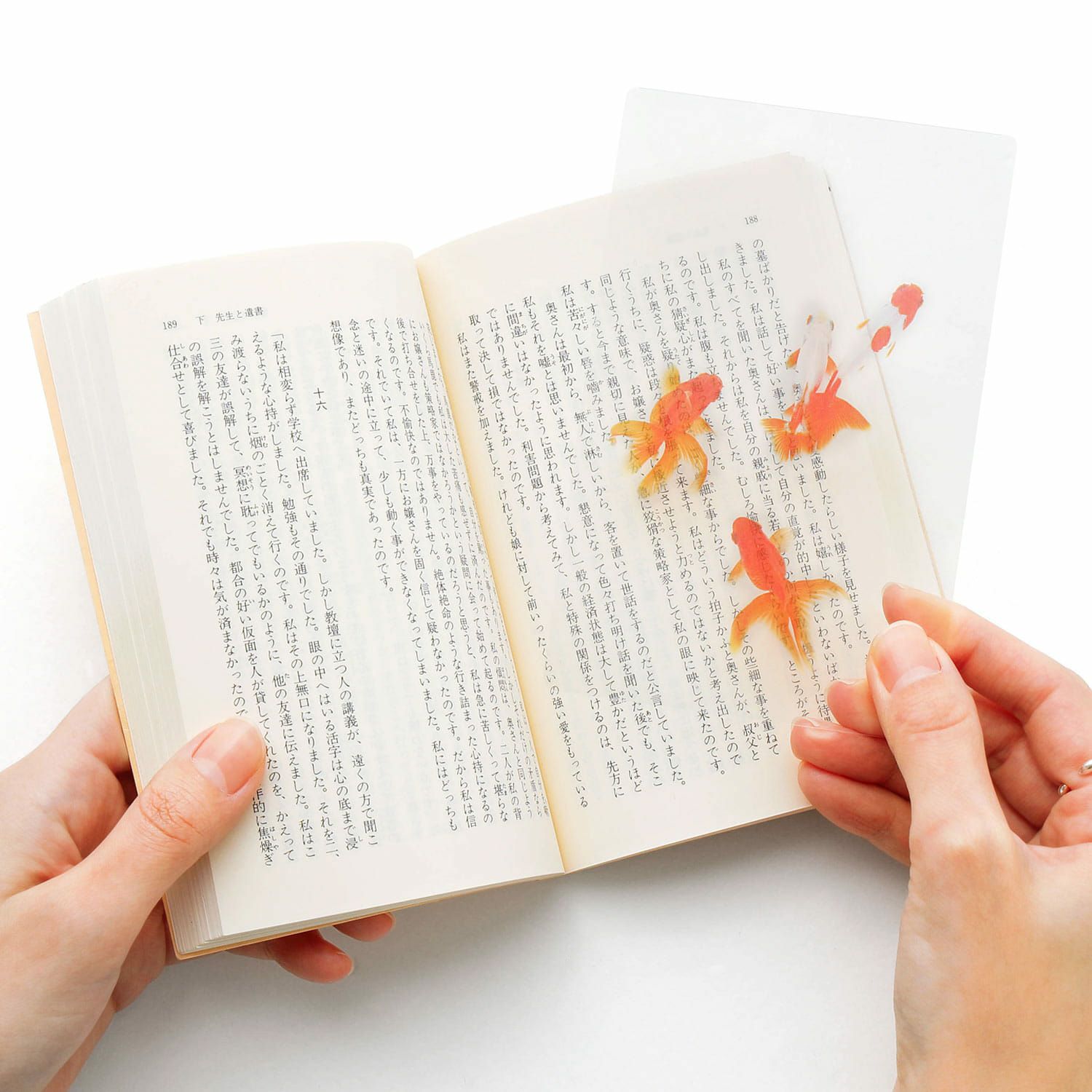 Photo & focus 透明写真栞 | HIGHTIDE（ハイタイド）公式サイト