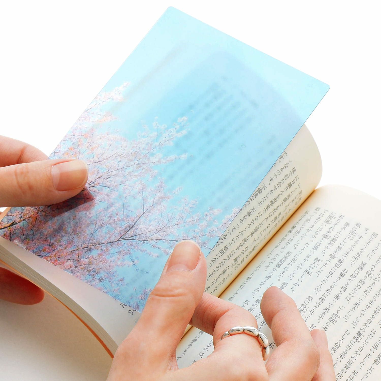 Photo & focus 透明写真栞 | HIGHTIDE（ハイタイド）公式サイト